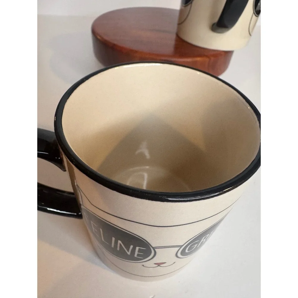 PET by Home Essentials Cat Mugs Set of 2 Feline Great Coffee Right Meow